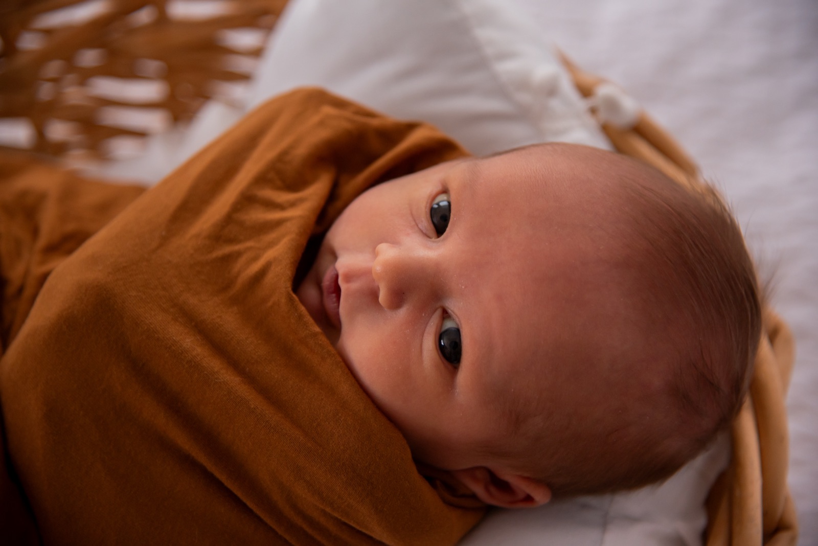 Newborn photography gallery