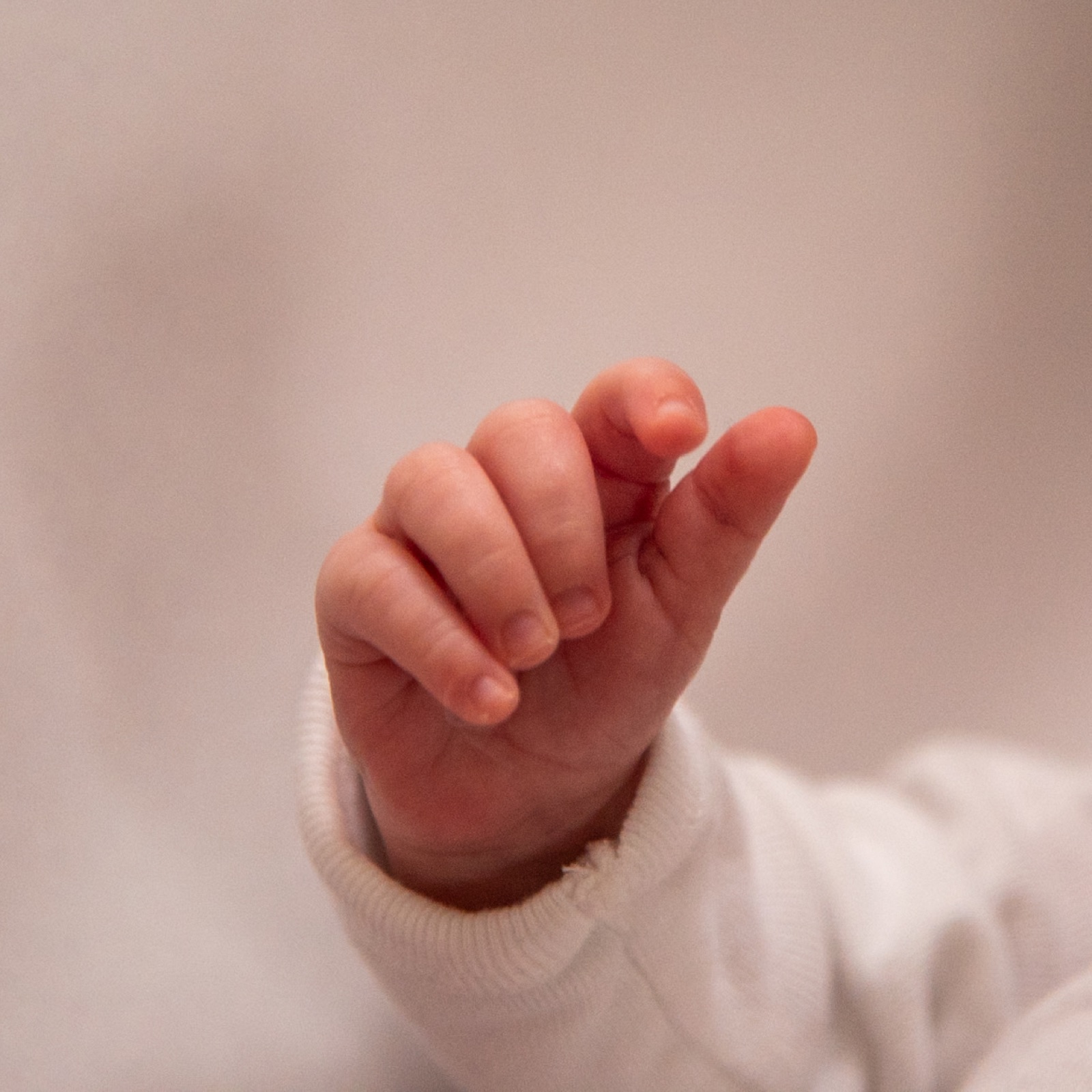 Newborn photo 12